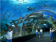 Sea Aquarium